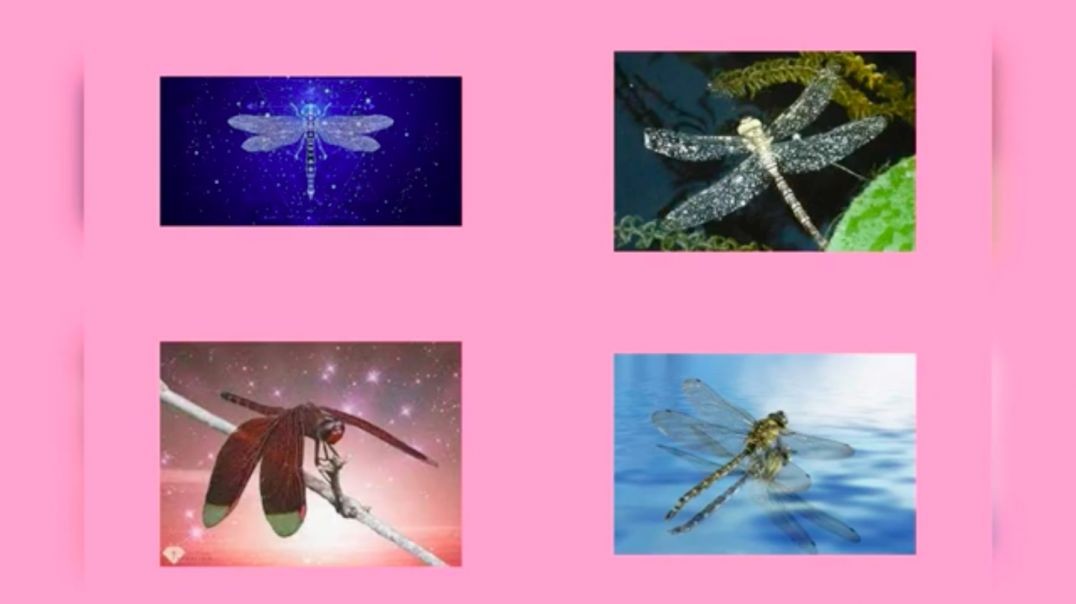 JJAJJA KUTHUMI - AMANYI GAMAKYUSA AGANAMUNKANGA (Dragonfly Ascension energies)
