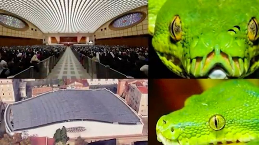 Really Strange Things at The Vatican 2022 Symbolisms