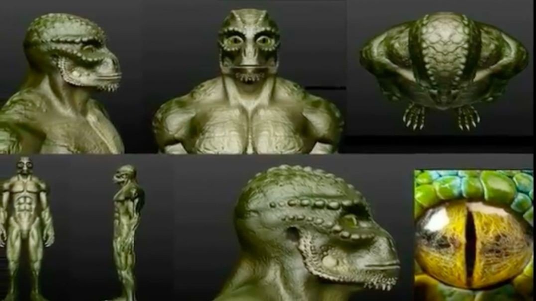 Different Types Of Alien Species On Earth - Races Of Extraterrestrials