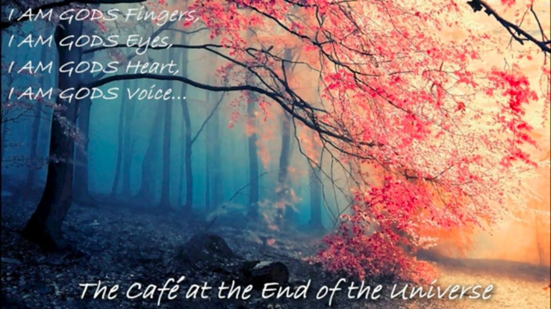 ⁣The Cafe' at the End of the Universe The Voice of GOD