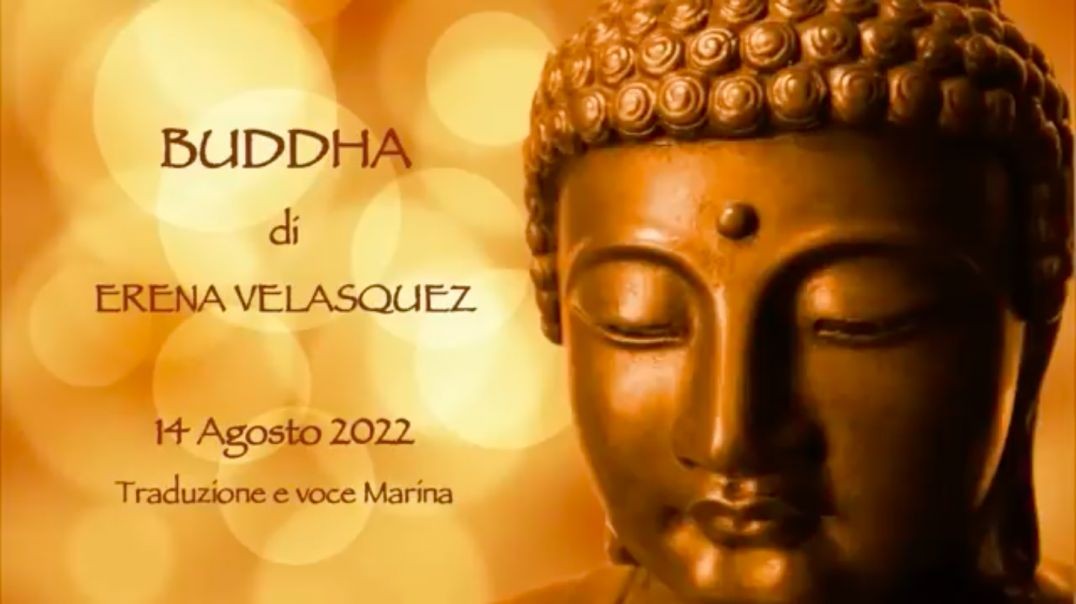 ⁣BUDDHA, di Erena Velasquez