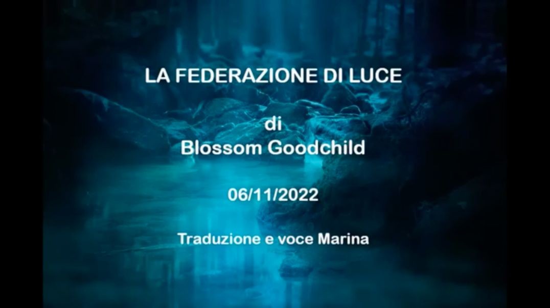 ⁣LA FEDERAZIONE DI LUCE, di Blossom Goodchild