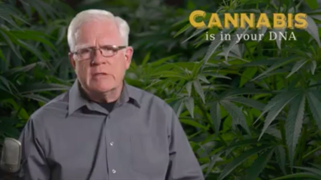 ⁣"Cannabis: It's in Your DNA!