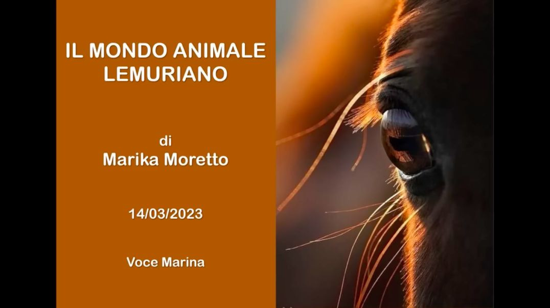 ⁣Scopriamo il Mondo Animale Lemuriano: Con Marika Moretto