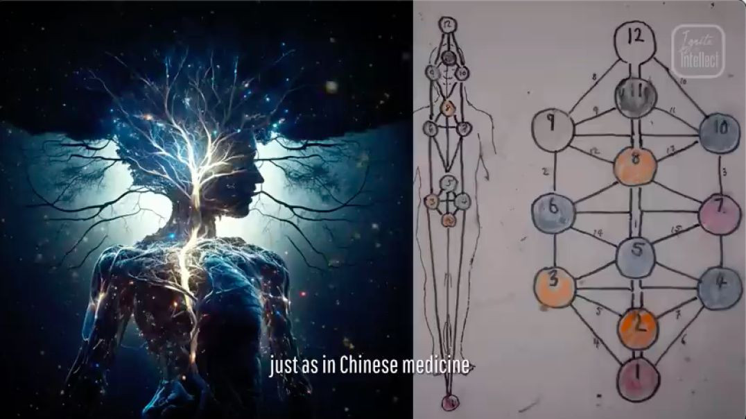 ⁣Exploring the Tree of Life: Unveiling the Spiritual Beings Influencing Us Daily
