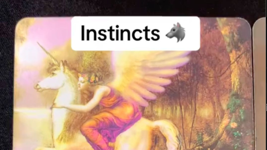 ⁣Instincts ⁣: A Comprehensive Tarot Card Reading Guide