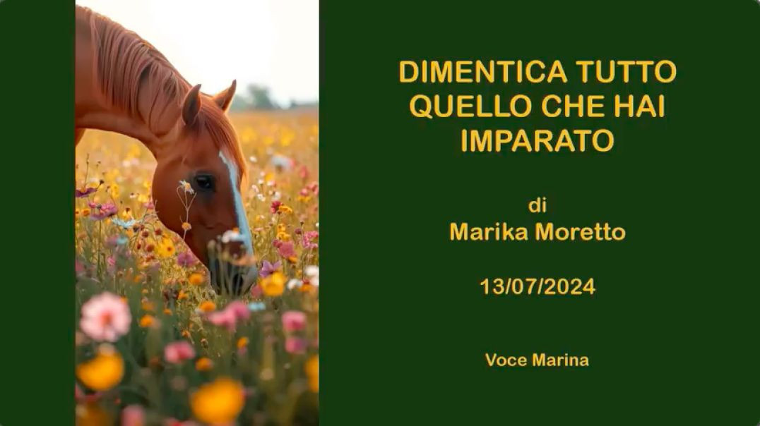 DIMENTICA TUTTO QUELLO CHE HAI IMPARATO: Di Marika Moretto