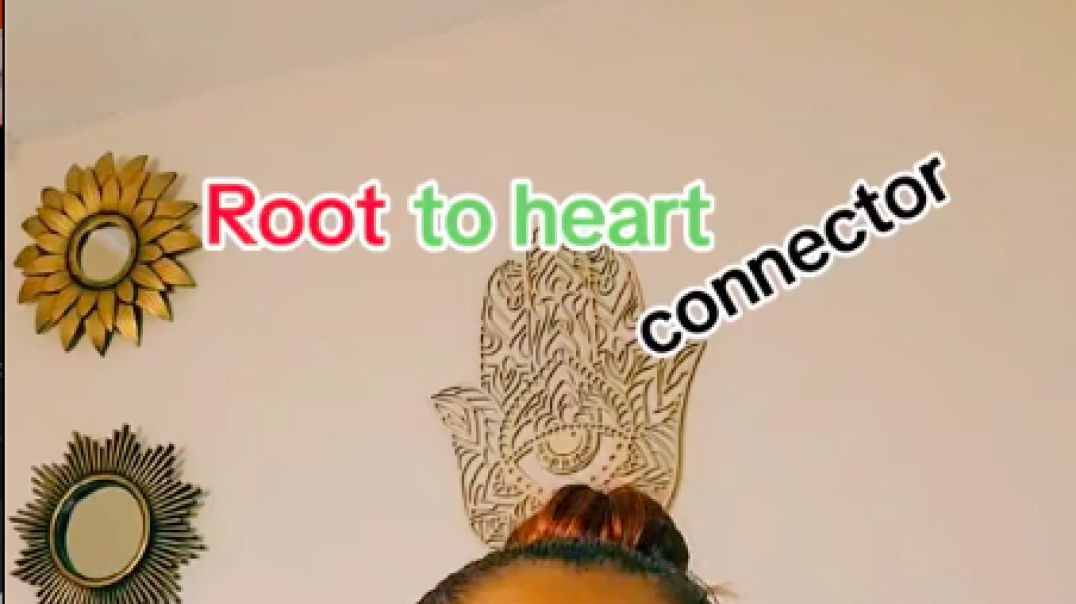 Root To Heart Connector