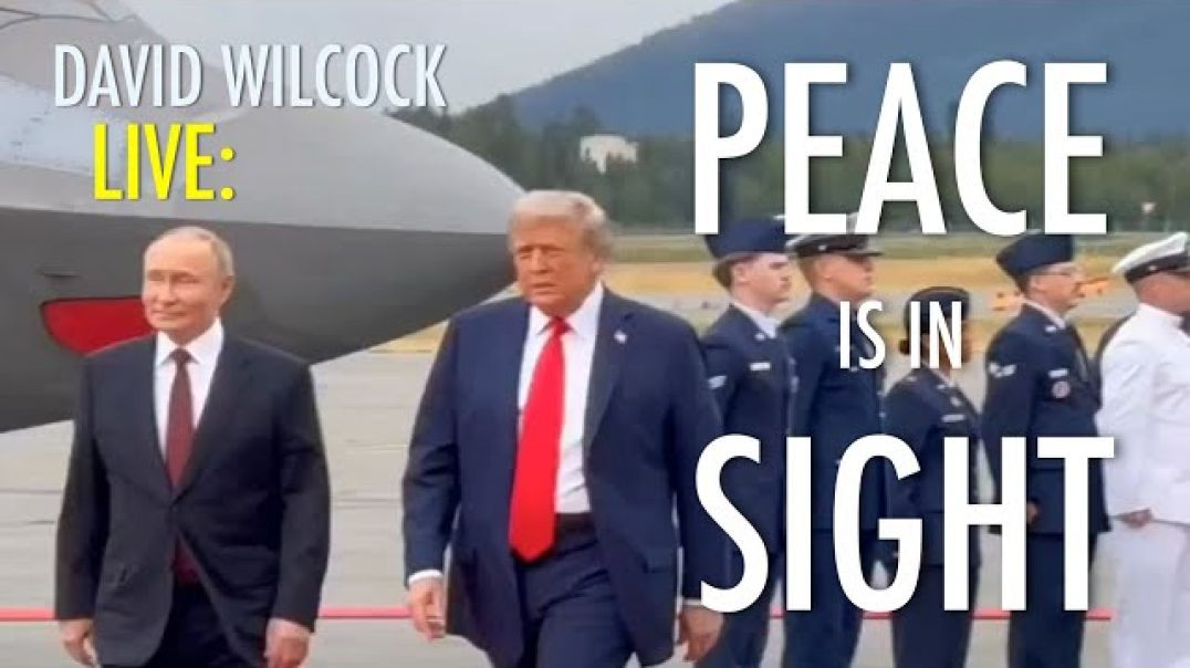 Live By David Wilcock: Peace is in Sight