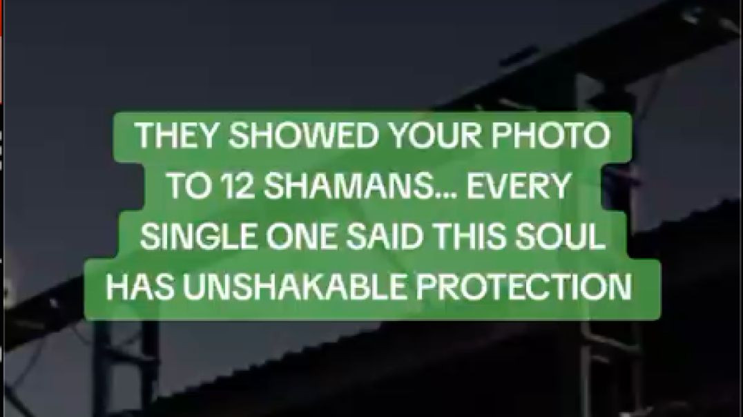 The 12 Shamans