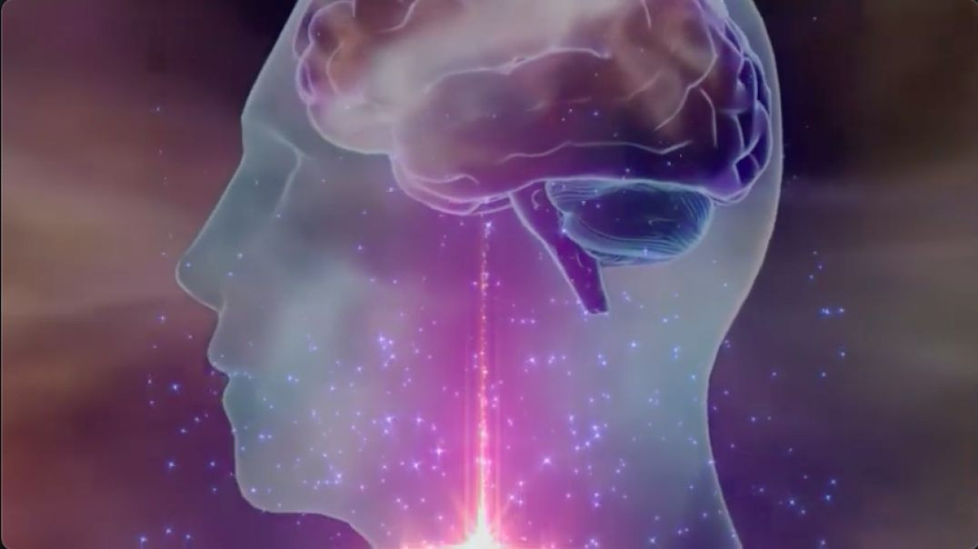 The Crystal Kingdom: A Message From The Galactic Federation